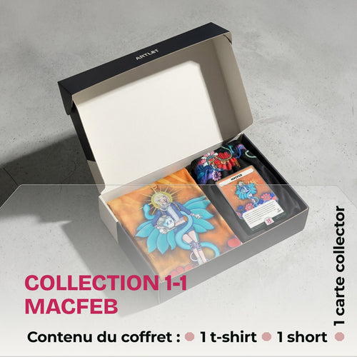 COFFRET COLLECTOR ARTL8T 1.1 PEINTURE